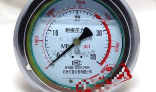 耐震压力多少是正常的 轴向耐震压力表
