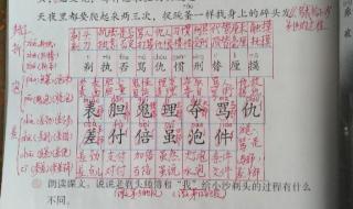 说和做读后感50字 说和做课文笔记